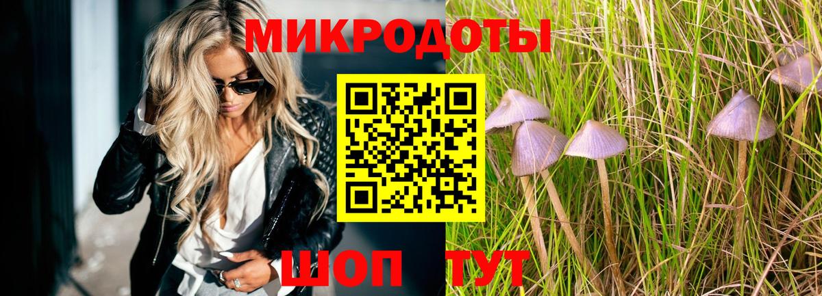 Тосно  Галлюциногенные грибы Psilocybine cubensis  Вход с VPN  Псилоцибиновые грибы Psilocybe 